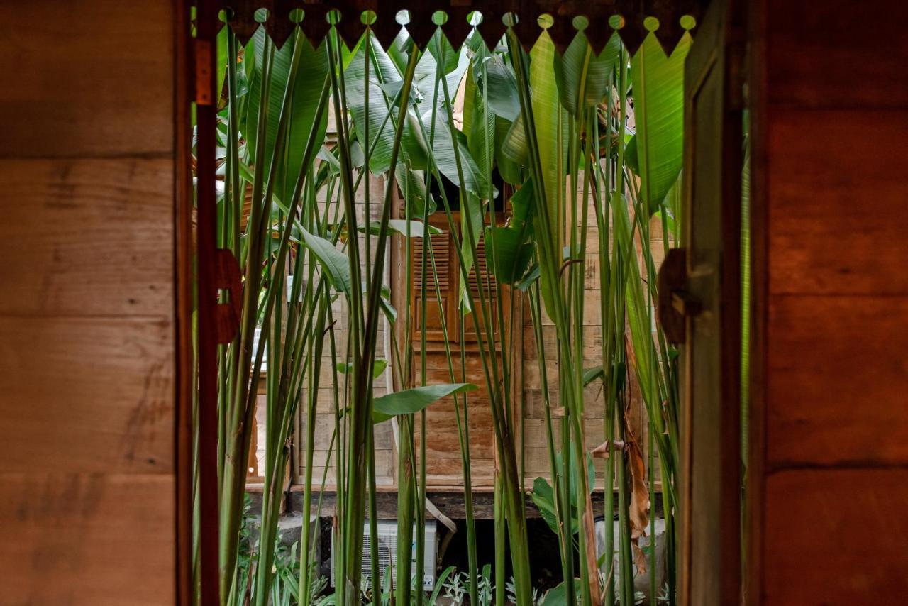 Moson Villa Legian エクステリア 写真